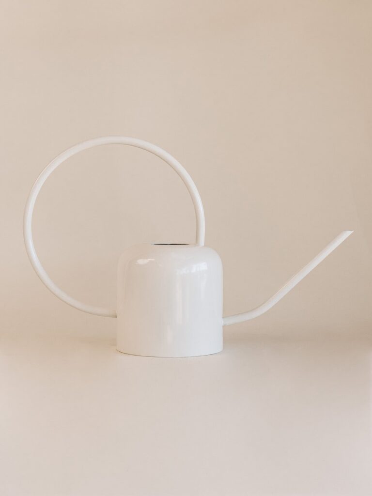 Watering Can from Market by Modern Nest